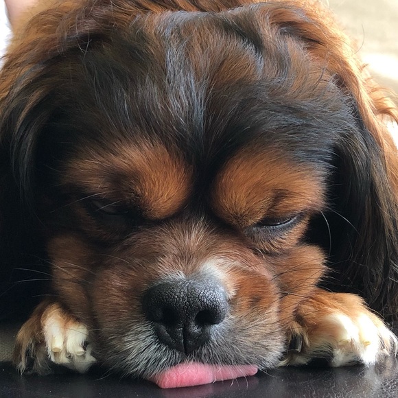 Meet your Posher, Megan - Picture 1 of 3